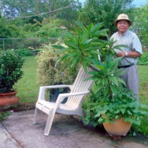 Garden Image 9
